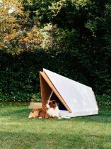 Noise-Cancelling Kennel Could Help Make Sure Your Dog Has...